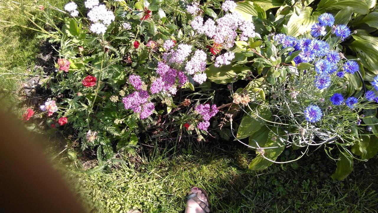 Mid Row Cottage Leadhills Bagian luar foto